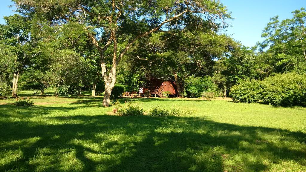 Thokozani Lodge White River Exteriér fotografie